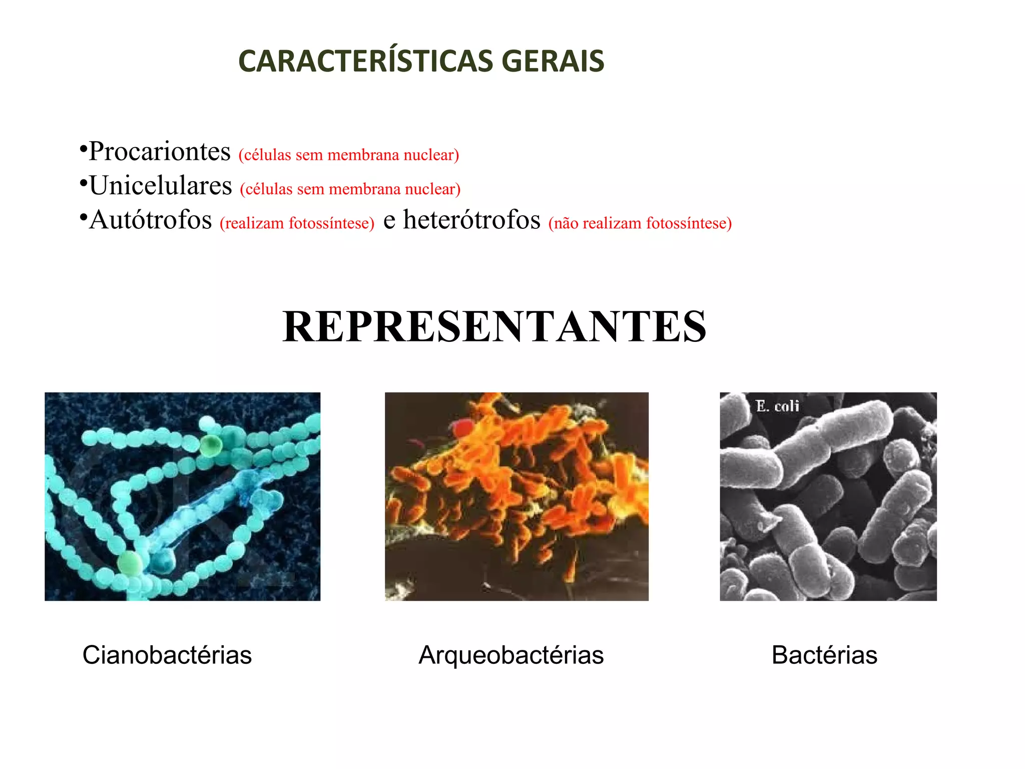 Reino monera 1 | PPT
