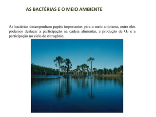 AS BACTÉRIAS E O MEIO AMBIENTE
As bactérias desempenham papéis importantes para o meio ambiente, entre eles
podemos destacar a participação na cadeia alimentar, a produção de O 2 e a
participação no ciclo do nitrogênio.

 