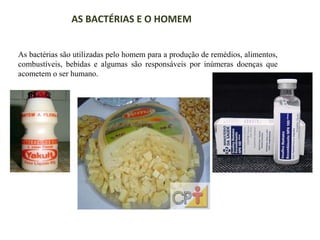 AS BACTÉRIAS E O HOMEM
As bactérias são utilizadas pelo homem para a produção de remédios, alimentos,
combustíveis, bebidas e algumas são responsáveis por inúmeras doenças que
acometem o ser humano.

 