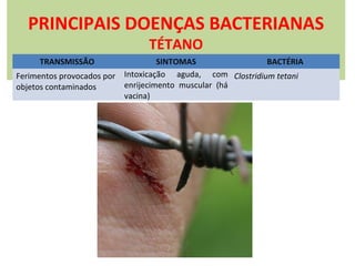 PRINCIPAIS DOENÇAS BACTERIANAS
TÉTANO

TRANSMISSÃO
Ferimentos provocados por
objetos contaminados

SINTOMAS
BACTÉRIA
Intoxicação aguda, com Clostridium tetani
enrijecimento muscular (há
vacina)

 