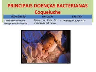 PRINCIPAIS DOENÇAS BACTERIANAS
Coqueluche
TRANSMISSÃO

Saliva e secreções da
laringe e dos brônquios

SINTOMAS
BACTÉRIA
Acessos de tosse forte e Haemophilus pertussis
prolongada. (há vacina)

 