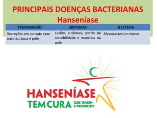 PRINCIPAIS DOENÇAS BACTERIANAS
Hanseníase
TRANSMISSÃO

Secreções em contato com
narinas, boca e pele

SINTOMAS
BACTÉRIA
Lesões cutâneas, perda da Mycobacterium leprae
sensibilidade e manchas na
pele

 
