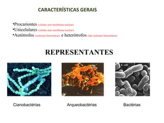 CARACTERÍSTICAS GERAIS
•Procariontes (células sem membrana nuclear)
•Unicelulares (células sem membrana nuclear)
•Autótrofos (realizam fotossíntese) e heterótrofos (não realizam fotossíntese)

REPRESENTANTES

Cianobactérias

Arqueobactérias

Bactérias

 