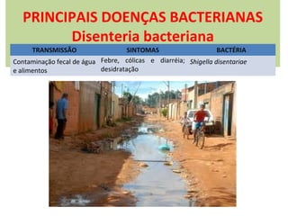 PRINCIPAIS DOENÇAS BACTERIANAS
Disenteria bacteriana
TRANSMISSÃO

SINTOMAS
BACTÉRIA
Contaminação fecal de água Febre, cólicas e diarréia; Shigella disentariae
desidratação
e alimentos

 