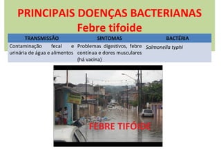 PRINCIPAIS DOENÇAS BACTERIANAS
Febre tifoide

TRANSMISSÃO
SINTOMAS
BACTÉRIA
Contaminação
fecal
e Problemas digestivos, febre Salmonella typhi
urinária de água e alimentos contínua e dores musculares
(há vacina)

 