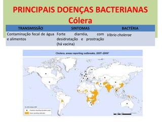 PRINCIPAIS DOENÇAS BACTERIANAS
Cólera

TRANSMISSÃO
SINTOMAS
BACTÉRIA
Contaminação fecal de água Forte
diarréia,
com Vibrio cholerae
e alimentos
desidratação e prostração
(há vacina)

 