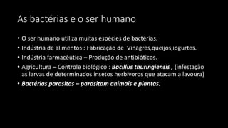 As bactérias e o ser humano
• O ser humano utiliza muitas espécies de bactérias.
• Indústria de alimentos : Fabricação de Vinagres,queijos,iogurtes.
• Indústria farmacêutica – Produção de antibióticos.
• Agricultura – Controle biológico : Bacillus thuringiensis , (infestação
as larvas de determinados insetos herbívoros que atacam a lavoura)
• Bactérias parasitas – parasitam animais e plantas.
 