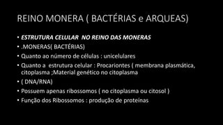 REINO MONERA ( BACTÉRIAS e ARQUEAS)
• ESTRUTURA CELULAR NO REINO DAS MONERAS
• .MONERAS( BACTÉRIAS)
• Quanto ao número de células : unicelulares
• Quanto a estrutura celular : Procariontes ( membrana plasmática,
citoplasma ;Material genético no citoplasma
• ( DNA/RNA)
• Possuem apenas ribossomos ( no citoplasma ou citosol )
• Função dos Ribossomos : produção de proteínas
 
