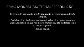 REINO MONERA(BACTÉRIAS) REPRODUÇÃO
• Reprodução assexuada por Cissiparidade ou bipartição ou divisão
simples.
• Cada bactéria divide-se em duas outras bactérias geneticamente
iguais , supondo-se que não ocorra mutações , isto é alterações do
seu material genético.
• Figura pág.78
 
