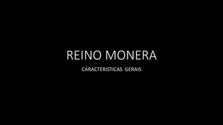 REINO MONERA
CARACTERISTICAS GERAIS
 