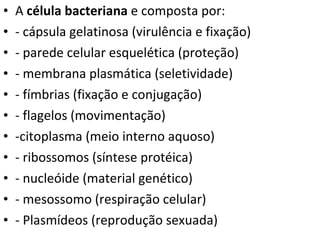 A  célula bacteriana  e composta por: - cápsula gelatinosa (virulência e fixação) - parede celular esquelética (proteção) - membrana plasmática (seletividade) - fímbrias (fixação e conjugação) - flagelos (movimentação) -citoplasma (meio interno aquoso)  - ribossomos (síntese protéica) - nucleóide (material genético) - mesossomo (respiração celular) - Plasmídeos (reprodução sexuada) 