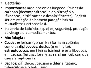 Bactérias Importância : Base dos ciclos biogeoquímicos do carbono (decompositoras) e do nitrogênio (fixadoras, nitrificantes e desnitrificantes). Podem ser em relação ao homem patogênicas ou mutualistas (lactobacilos). Indústria de laticínios (queijos, yogurtes), produção de vinagre e de medicamentos. Morfologia  :  Cocos  : esféricas (gonorréia) formam colônias como os  diplococos , duplos (meningite),  estreptococos , em fileiras (cáries)  e estafilococos, em cachos (furunculose) e as  sarcínas , cúbicas, que causa a septicemia. Bacilos:  cilíndricos, causam a diferia, tétano, tuberculose e o botulismo.  