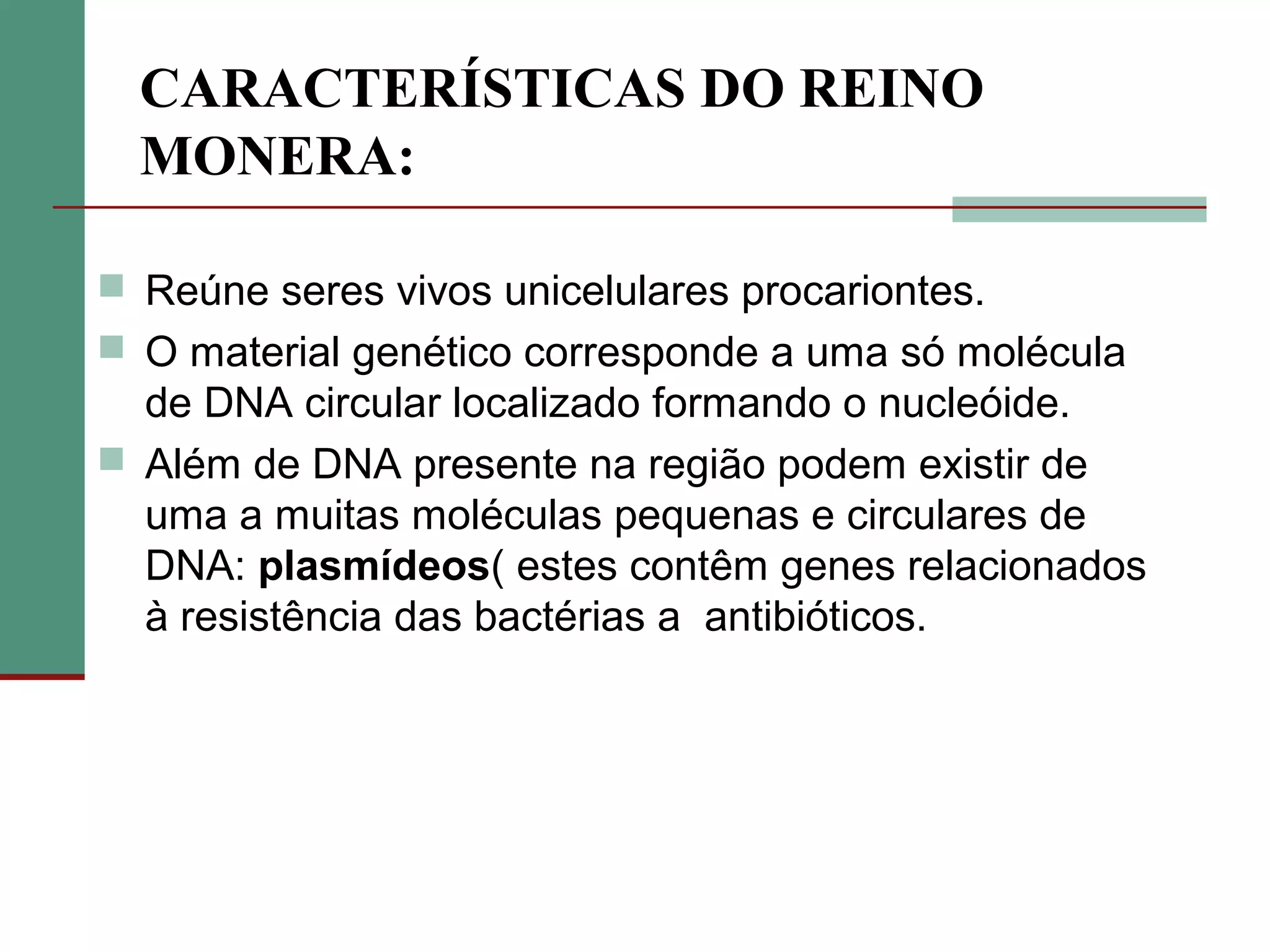 Reino monera | PPT