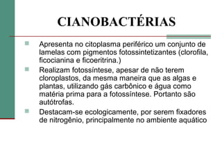 CIANOBACTÉRIAS
 Apresenta no citoplasma periférico um conjunto de
lamelas com pigmentos fotossintetizantes (clorofila,
ficocianina e ficoeritrina.)
 Realizam fotossíntese, apesar de não terem
cloroplastos, da mesma maneira que as algas e
plantas, utilizando gás carbônico e água como
matéria prima para a fotossíntese. Portanto são
autótrofas.
 Destacam-se ecologicamente, por serem fixadores
de nitrogênio, principalmente no ambiente aquático
 