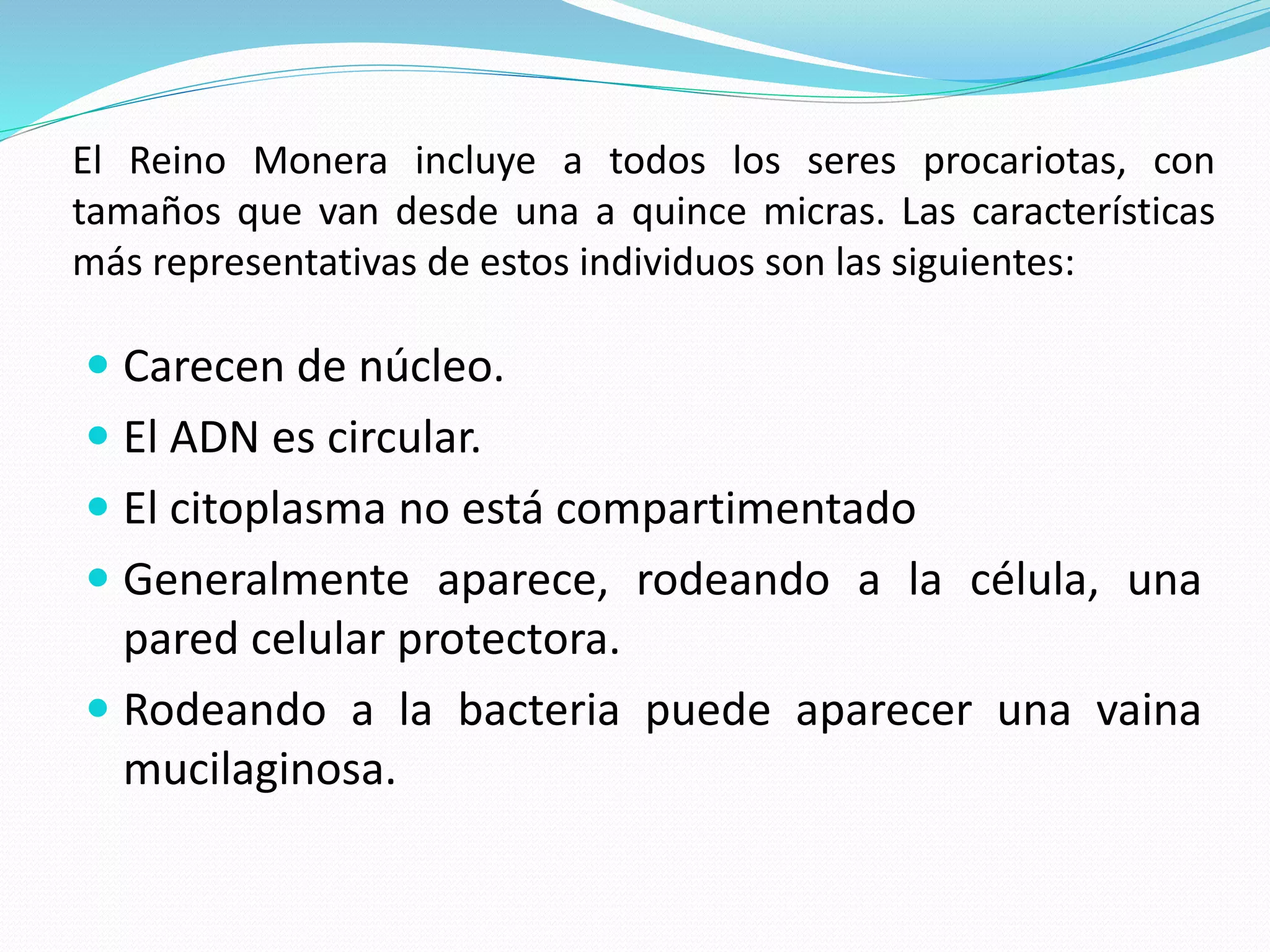 Reino monera 2015 | PPTX