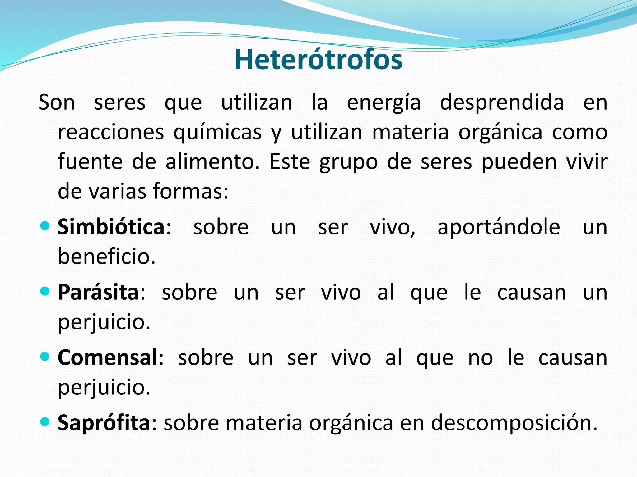 Reino monera 2015 | PPTX