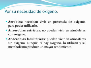 Por su necesidad de oxígeno.
 Aerobias: necesitan vivir en presencia de oxígeno,
para poder utilizarlo.
 Anaerobias estrictas: no pueden vivir en atmósferas
con oxígeno.
 Anaerobias facultativas: pueden vivir en atmósferas
sin oxígeno, aunque, si hay oxígeno, lo utilizan y su
metabolismo produce un mayor rendimiento.
 
