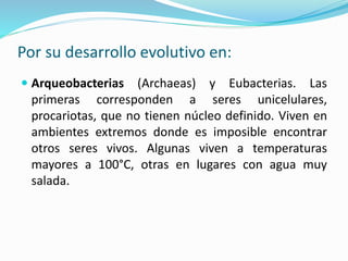 Por su desarrollo evolutivo en:
 Arqueobacterias (Archaeas) y Eubacterias. Las
primeras corresponden a seres unicelulares,
procariotas, que no tienen núcleo definido. Viven en
ambientes extremos donde es imposible encontrar
otros seres vivos. Algunas viven a temperaturas
mayores a 100°C, otras en lugares con agua muy
salada.
 