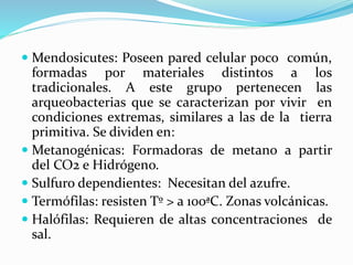  Mendosicutes: Poseen pared celular poco común,
formadas por materiales distintos a los
tradicionales. A este grupo pertenecen las
arqueobacterias que se caracterizan por vivir en
condiciones extremas, similares a las de la tierra
primitiva. Se dividen en:
 Metanogénicas: Formadoras de metano a partir
del CO2 e Hidrógeno.
 Sulfuro dependientes: Necesitan del azufre.
 Termófilas: resisten Tº > a 100ªC. Zonas volcánicas.
 Halófilas: Requieren de altas concentraciones de
sal.
 