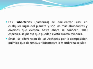  Las Eubacterias (bacterias) se encuentran casi en
cualquier lugar del planeta y son los más abundantes y
diversos que existen, hasta ahora se conocen 5000
especies, se piensa que pueden existir cuatro millones.
 Éstas se diferencian de las Archaeas por la composición
quimica que tienen sus ribosomas y la membrana celular.
 