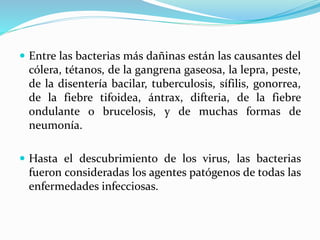  Entre las bacterias más dañinas están las causantes del
cólera, tétanos, de la gangrena gaseosa, la lepra, peste,
de la disentería bacilar, tuberculosis, sífilis, gonorrea,
de la fiebre tifoidea, ántrax, difteria, de la fiebre
ondulante o brucelosis, y de muchas formas de
neumonía.
 Hasta el descubrimiento de los virus, las bacterias
fueron consideradas los agentes patógenos de todas las
enfermedades infecciosas.
 