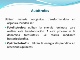 Autótrofos
Utilizan materia inorgánica, transformándola en
orgánica. Pueden ser:
 Fotolitotrofos: utilizan la energía luminosa para
realizar esta transformación. A este proceso se le
denomina fotosíntesis. Se realiza mediante
bacterioclorofila.
 Quimiolitotrofos: utilizan la energía desprendida en
reacciones químicas.
 