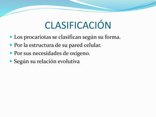CLASIFICACIÓN
 Los procariotas se clasifican según su forma.
 Por la estructura de su pared celular.
 Por sus necesidades de oxígeno.
 Según su relación evolutiva
 