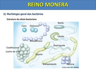 Aula completa Reino Monera - e principais doenças | PDF