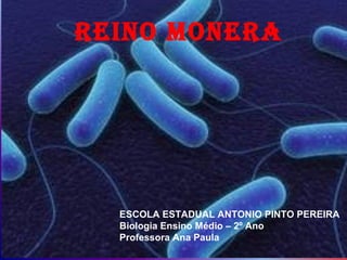 REINO MONERA




  ESCOLA ESTADUAL ANTONIO PINTO PEREIRA
  Biologia Ensino Médio – 2º Ano
  Professora Ana Paula
 