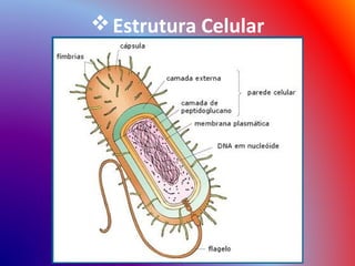  Estrutura Celular
 