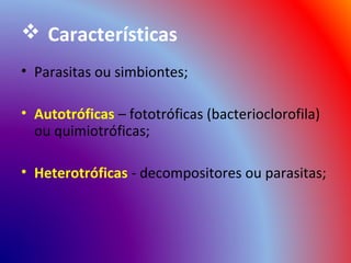  Características
• Parasitas ou simbiontes;

• Autotróficas – fototróficas (bacterioclorofila)
  ou quimiotróficas;

• Heterotróficas - decompositores ou parasitas;
 
