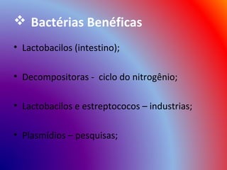 Bactérias Benéficas
• Lactobacilos (intestino);

• Decompositoras - ciclo do nitrogênio;

• Lactobacilos e estreptococos – industrias;

• Plasmídios – pesquisas;
 