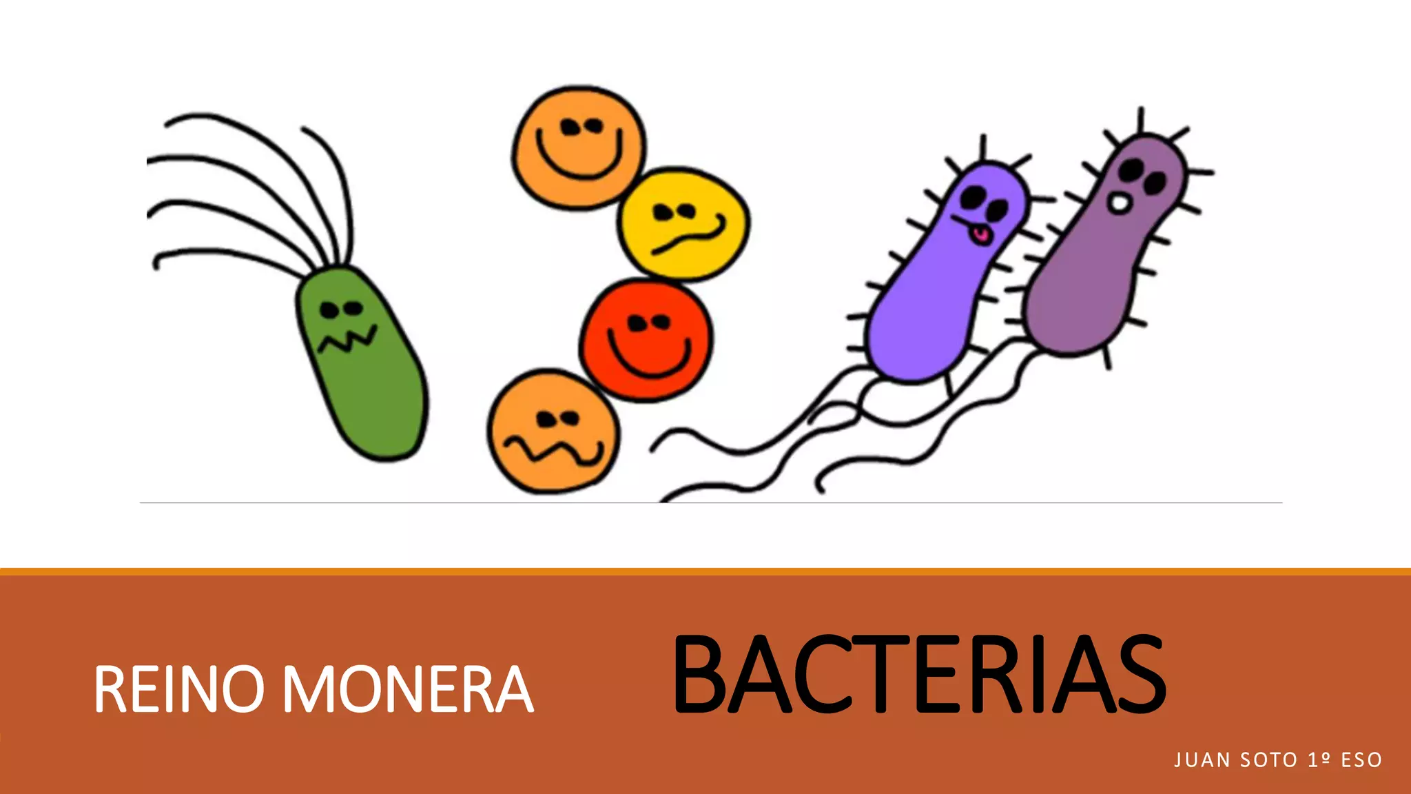 Reino monera bacterias | PPTX