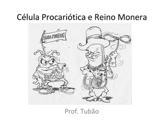 Célula Procariótica e Reino Monera
Prof. Tubão
 