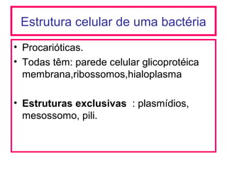 Estrutura celular de uma bactéria
• Procarióticas.
• Todas têm: parede celular glicoprotéica
membrana,ribossomos,hialoplasma
• Estruturas exclusivas : plasmídios,
mesossomo, pili.
 