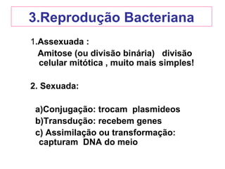 3.Reprodução Bacteriana
1.Assexuada :
Amitose (ou divisão binária) divisão
celular mitótica , muito mais simples!
2. Sexuada:
a)Conjugação: trocam plasmideos
b)Transdução: recebem genes
c) Assimilação ou transformação:
capturam DNA do meio
 
