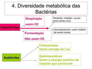 4. Diversidade metabólica das
Bactérias
Fermentação
Não usam O2
Respiração
usam O2
Heterótrofas
Autótrofas
Fotossíntese
Usam energia da Luz
Quimiossíntese
Usam a energia química de
reações que provocam
Parasitas: instalam –se em
seres ainda vivos
Decompositoras: usam matéria
de seres mortos
 