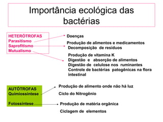 Importância ecológica das
bactérias
HETERÓTROFAS
Parasitismo
Saprofitismo
Mutualismo
AUTÓTROFAS
Químiossíntese
Fotossíntese
Doenças
Produção de alimentos e medicamentos
Decomposição de resíduos
Produção de vitamina K
Digestão e absorção de alimentos
Digestão de celulose nos ruminantes
Controle de bactérias patogênicas na flora
intestinal
Produção de alimento onde não há luz
Ciclo do Nitrogênio
Produção de matéria orgânica
Ciclagem de elementos
 