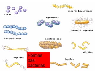 Formas
das
bactérias
 