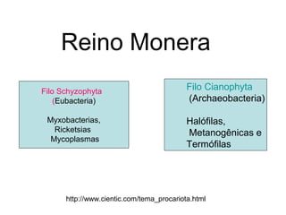 Reino Monera
http://www.cientic.com/tema_procariota.html
Filo Schyzophyta
(Eubacteria)
Myxobacterias,
Ricketsias
Mycoplasmas
Filo Cianophyta
(Archaeobacteria)
Halófilas,
Metanogênicas e
Termófilas
 