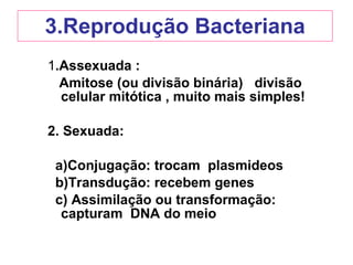 3.Reprodução Bacteriana 1 .Assexuada : Amitose (ou divisão binária)  divisão celular mitótica , muito mais simples! 2. Sexuada:  a)Conjugação: trocam  plasmideos b)Transdução: recebem genes c) Assimilação ou transformação: capturam  DNA do meio 