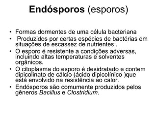 Endósporos  (esporos) Formas dormentes de uma célula bacteriana  Produzidos por certas espécies de bactérias em situações de escassez de nutrientes .  O esporo é resistente a condições adversas, incluindo altas temperaturas e solventes orgânicos.  O citoplasma do esporo é desidratado e contem dipicolinato de cálcio (ácido dipicolínico )que está envolvido na resistência ao calor.  Endósporos são comumente produzidos pelos gêneros  Bacillus  e  Clostridium .   