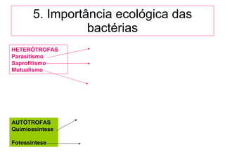 5. Importância ecológica das bactérias HETERÓTROFAS Parasitismo Saprofitismo Mutualismo AUTÓTROFAS Químiossíntese Fotossíntese 