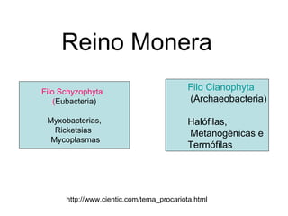 Reino Monera http://www.cientic.com/tema_procariota.html Filo Schyzophyta  ( Eubacteria) Myxobacterias, Ricketsias   Mycoplasmas Filo Cianophyta  (Archaeobacteria) Halófilas,  Metanogênicas e  Termófilas 