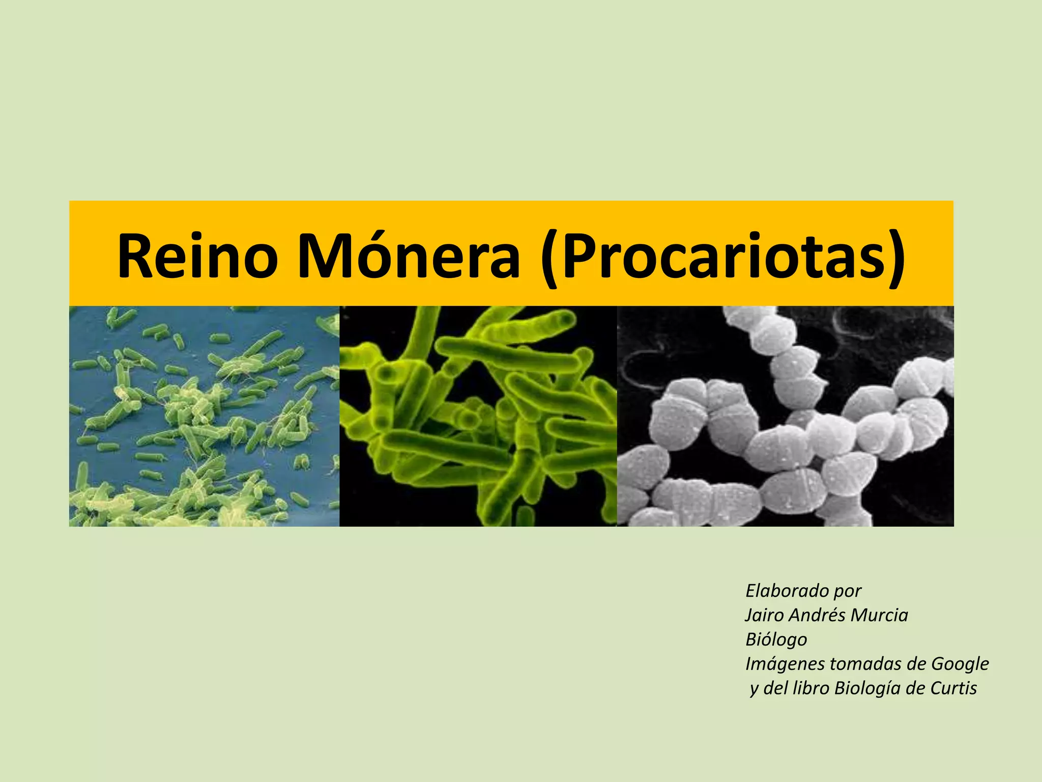 Reino monera (procariotas) | PPTX