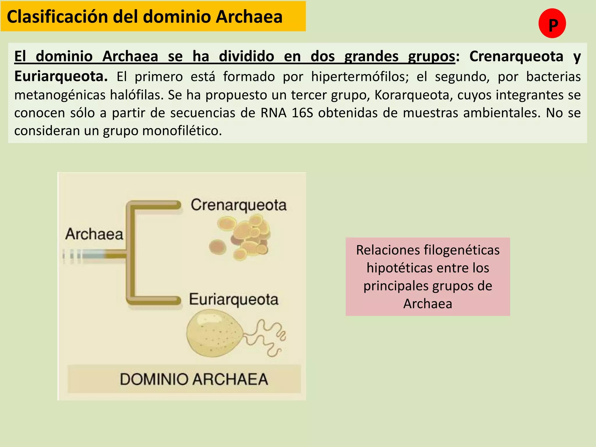 Reino monera (procariotas) | PPTX