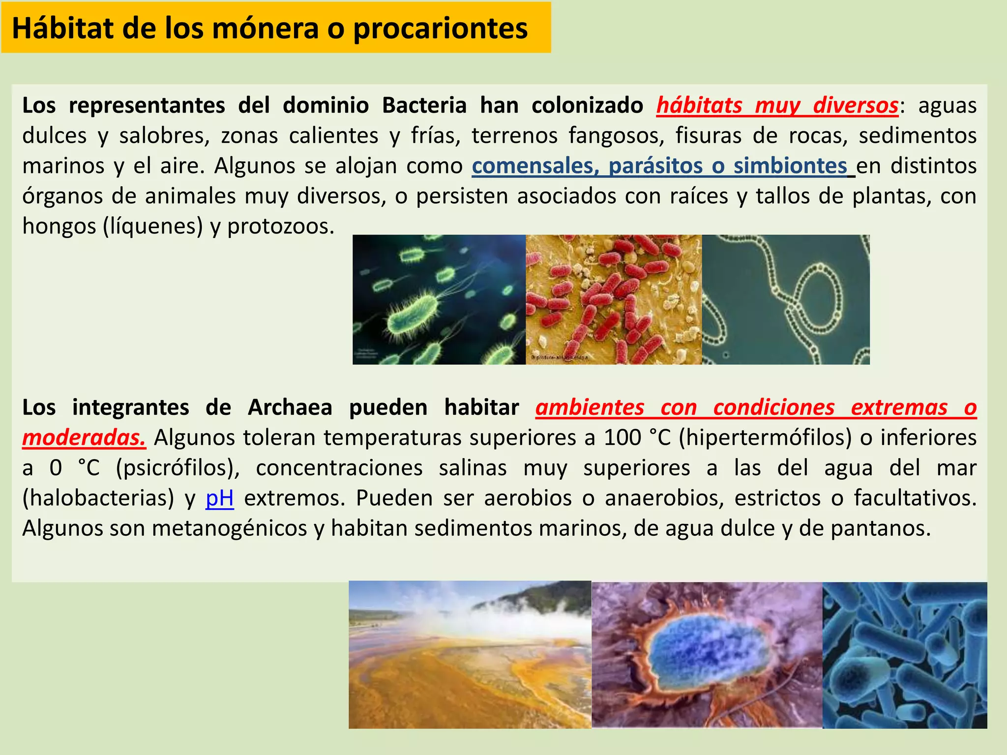 Reino monera (procariotas) | PPTX