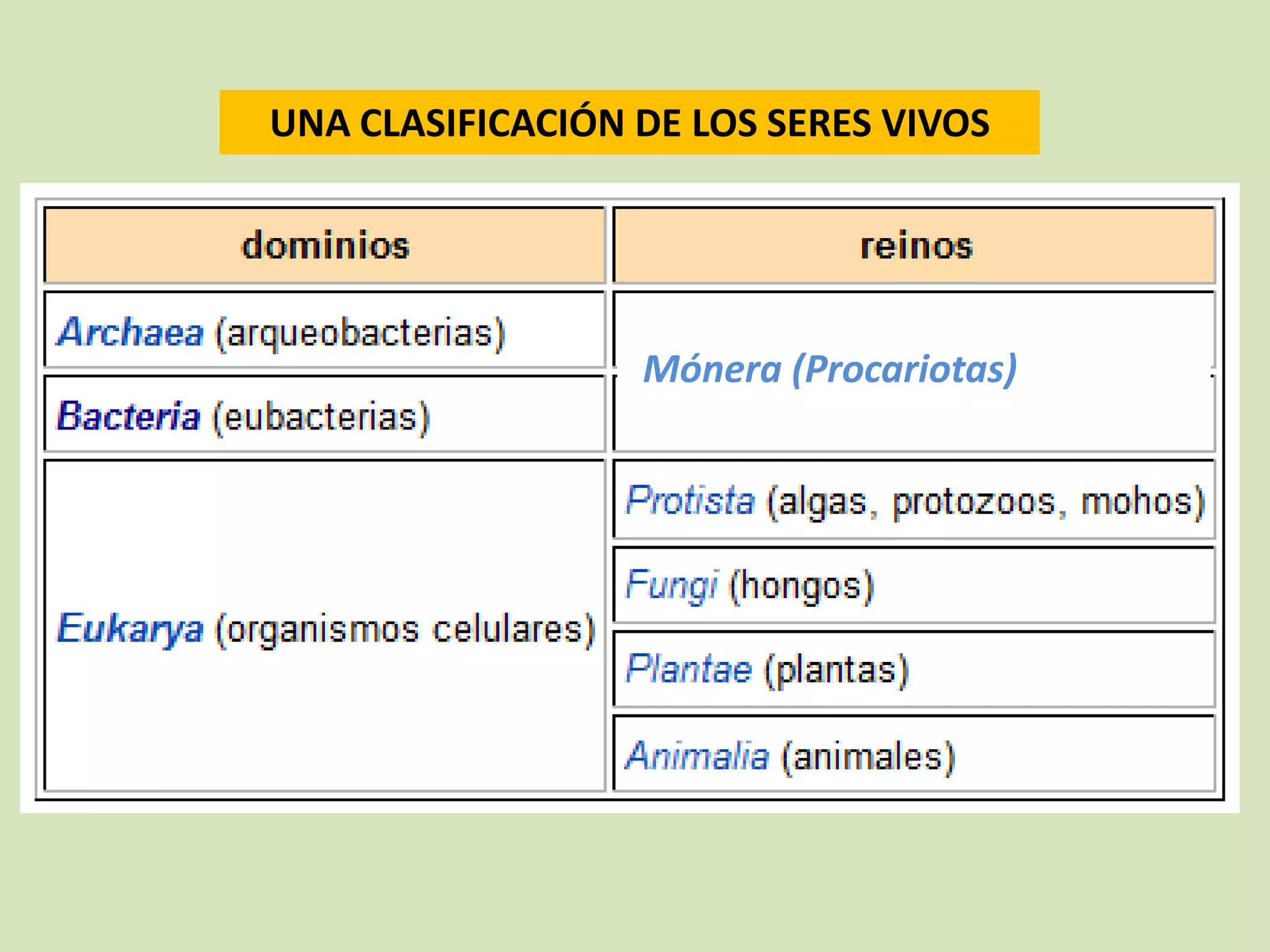 Reino monera (procariotas) | PPTX