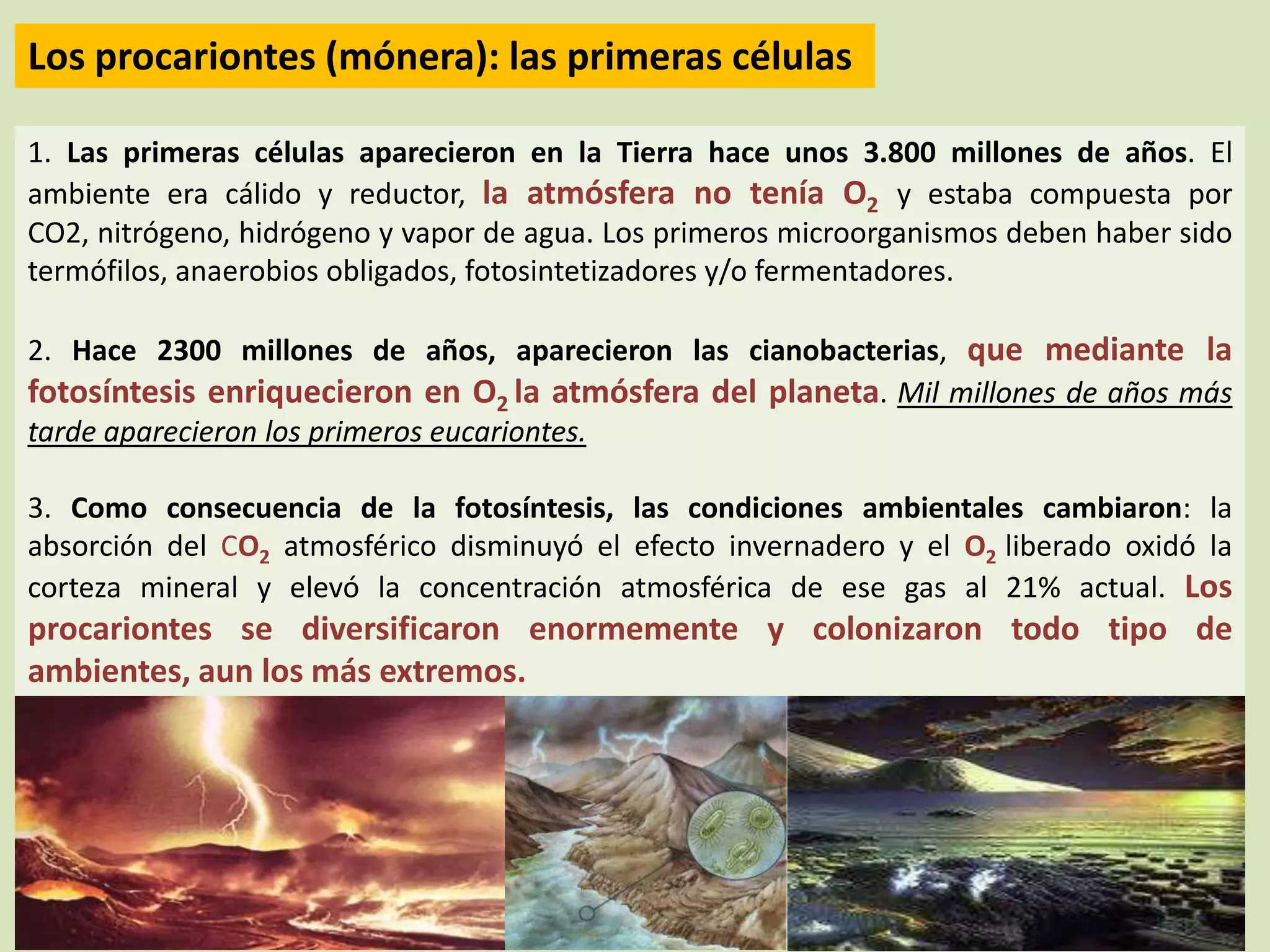 Reino monera (procariotas) | PPTX