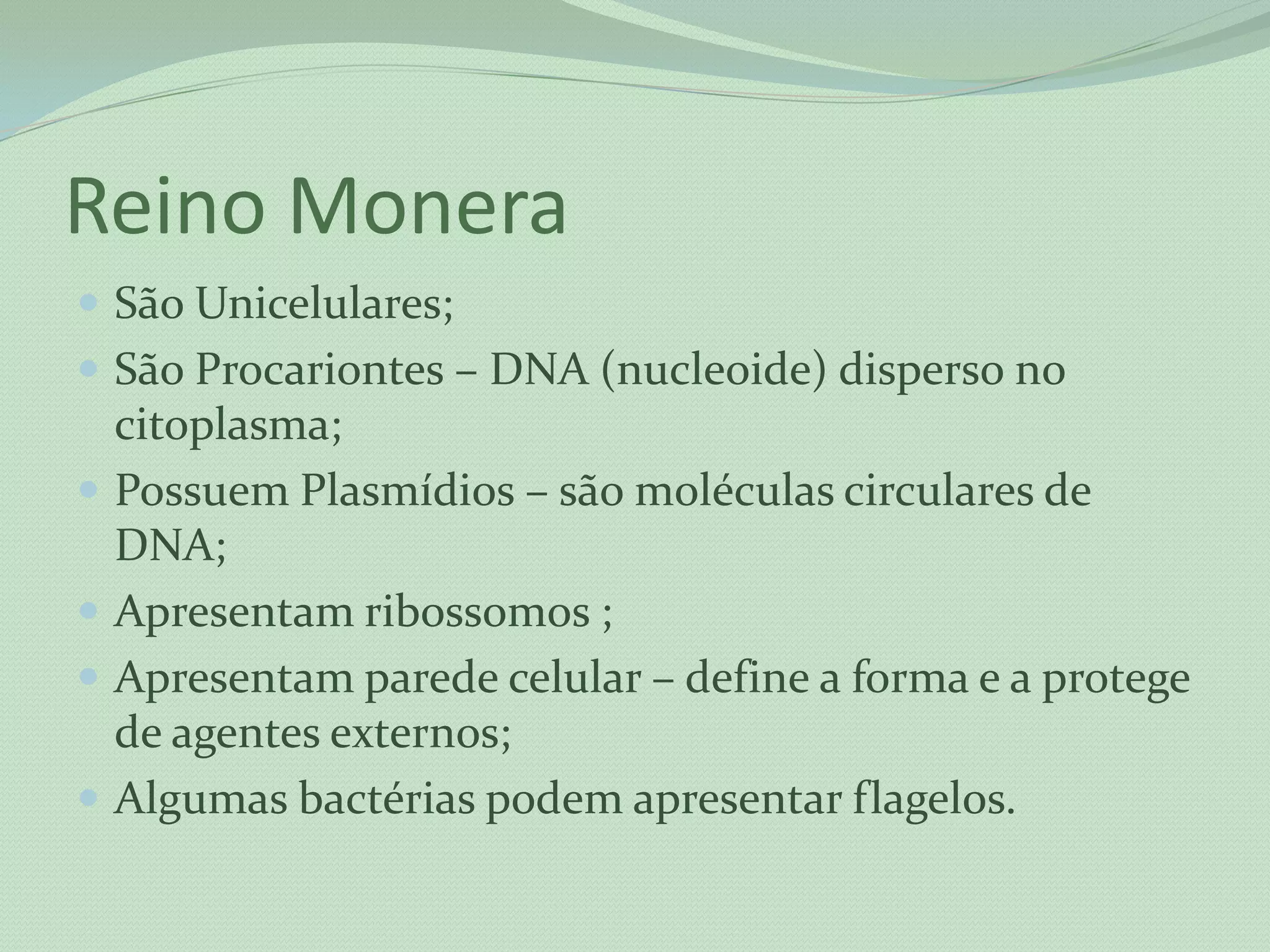 Reino monera, protista | PPTX